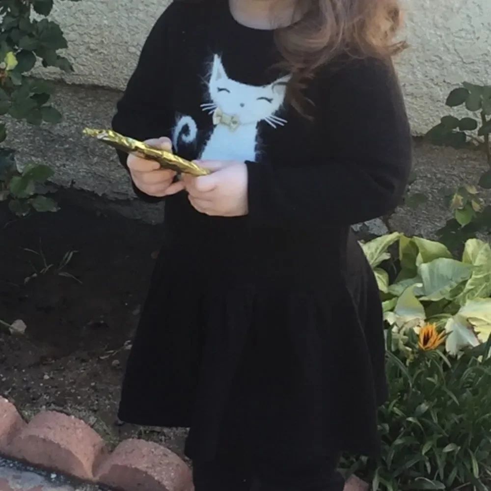 🎉1 hr sale🎉Gymboree dress👧